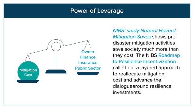 Building Resilient Communities by Incentivizing Investments